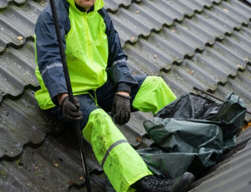 Brisbane’s Lazy Guide to Metal Roof Maintenance (Minimum Effort, Maximum Shine)