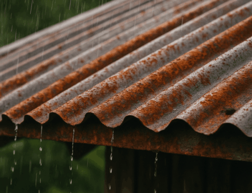 Rust and Rain: How Brisbane’s Humidity Can Destroy Roofs (and How Metal Stops It)